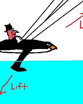 The Penguin