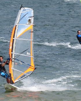Windsurfing at Kyeemagh 19 November 2012