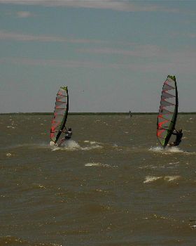 SANY0349 (copy)