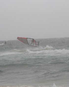 Long Reef 9.12.12 038