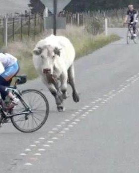 Funny-Pics-06 08 2012-211