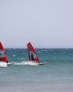 AUS-2001 /2013 XS-1