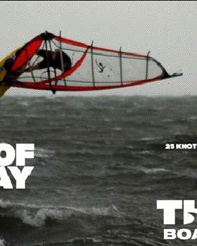 KIng of the Bay