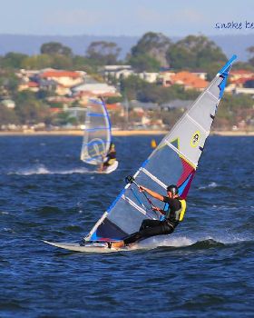 Wed slalom racing