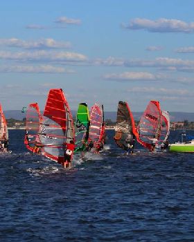 Wed slalom racing
