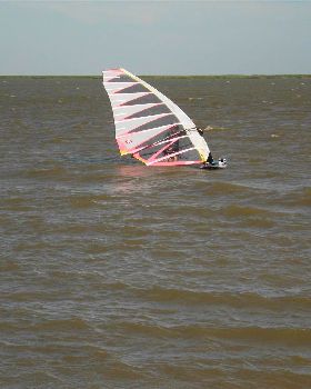 SANY0452