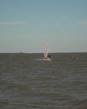 SANY0469