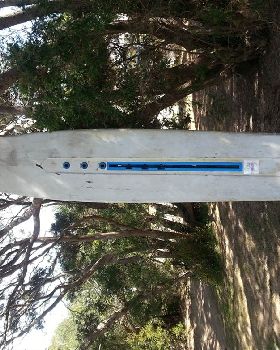 Vintage sail board?