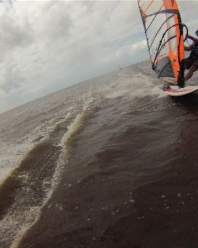 G0060308