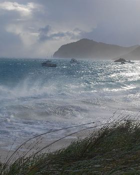 LORD HOWE 9