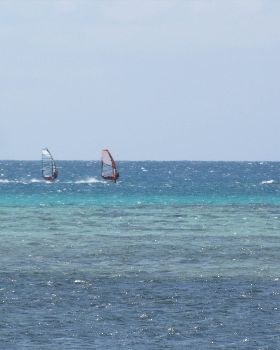 Windsurfing
