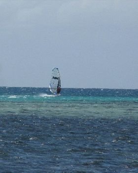 Windsurfing