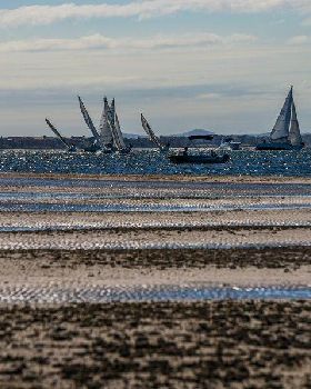 Sony NEX-6 Test     Winter Shearwater