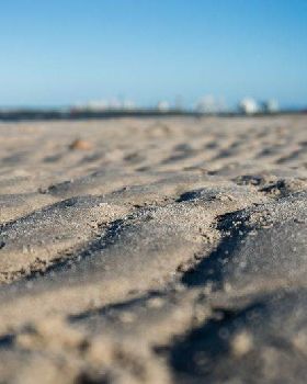 Sony NEX-6 Test     Winter Shearwater