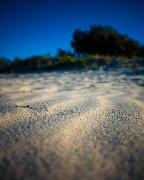 Sony NEX-6 Test     Winter Shearwater
