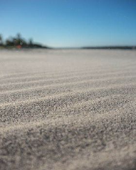 Sony NEX-6 Test     Winter Shearwater
