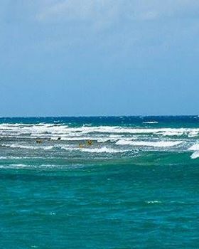 no waves on the reef