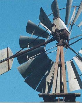 My wind tree