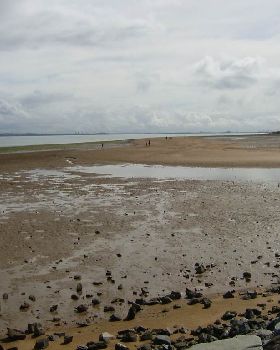 wellington Point