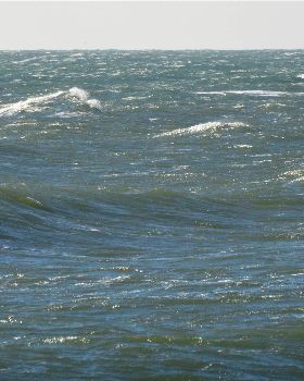 Bell Buoy 4/8