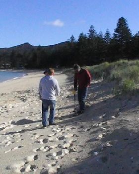 Finding treasure on LHI