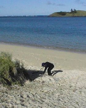 Finding treasure on LHI