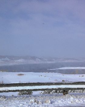 Local windsurfing spot
