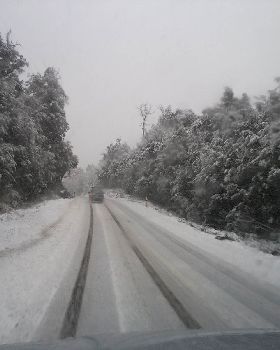 road to henty