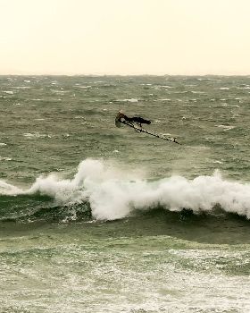 Dutchies action