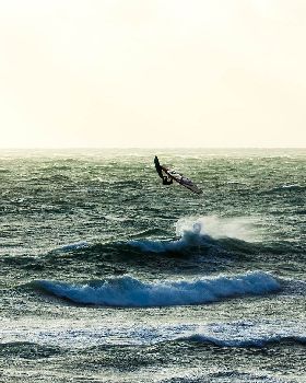 Dutchies action