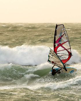 Dutchies action
