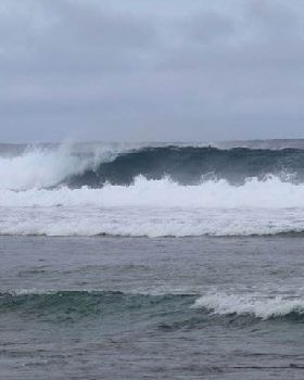 coccos wave
