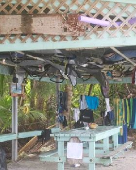 coccos surf shack