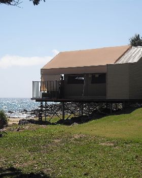 Tough life at Agnes