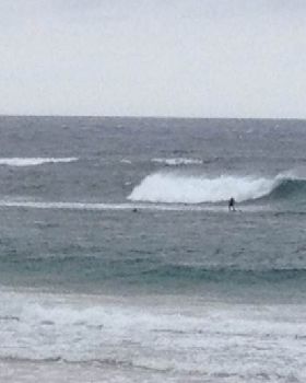 Longy bombie
