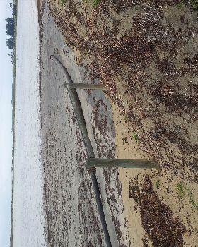 pond dredging