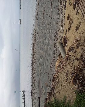 pond dredging