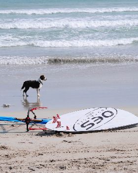 Beachport Friday 4th Oct 13