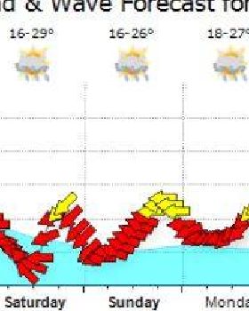 Bribie week 4