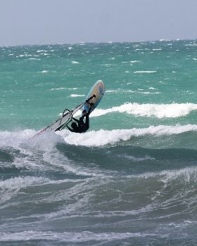 back roll 8098