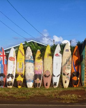 Fence of old wind/surfboards