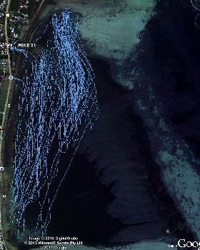 high tide tracks at Lilacs