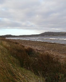 Albany low tide