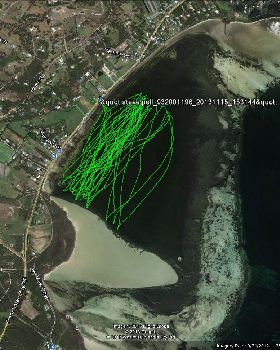 GE image low tide