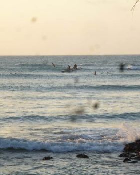cafe on the beach  surf and NXS board in action