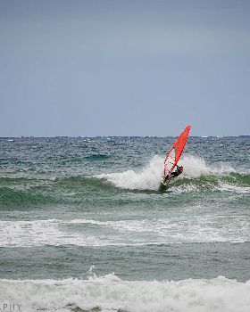 Men's Open - Windang