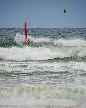 Men's Open - Windang