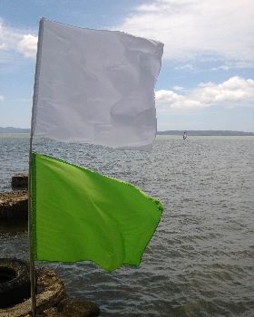 Freerace flags