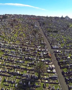 Cemetory11