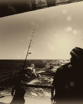 abrolhos 2014